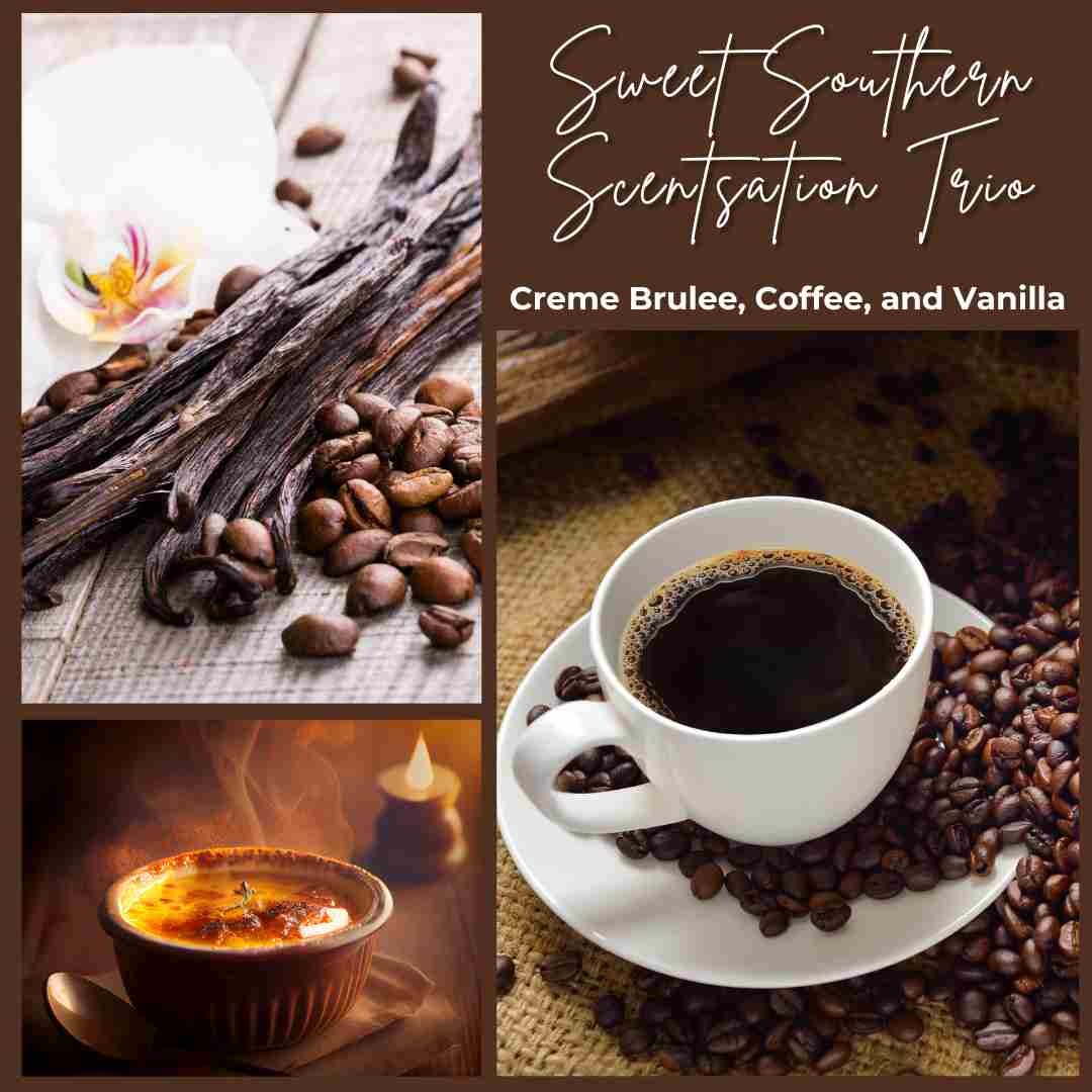 Sweet Southern Scentsation Trio: Creme Brulee, Coffee and Vanilla