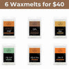 6 for $40 Southern Sayings Wax Melt