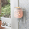 Scented Wax Melts