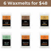 6 for $48 Southern Sayings Wax Melt
