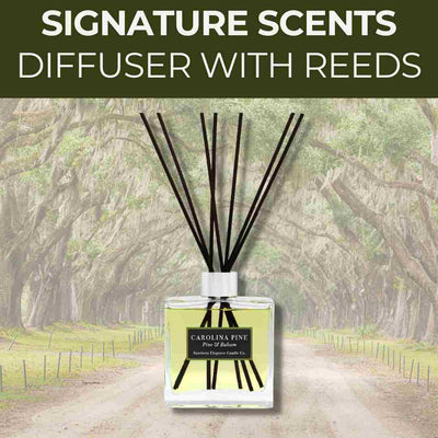 Diffuser with Reeds: Signature Year Round Scents