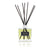 Diffuser with Reeds: Spring and Summer Collection